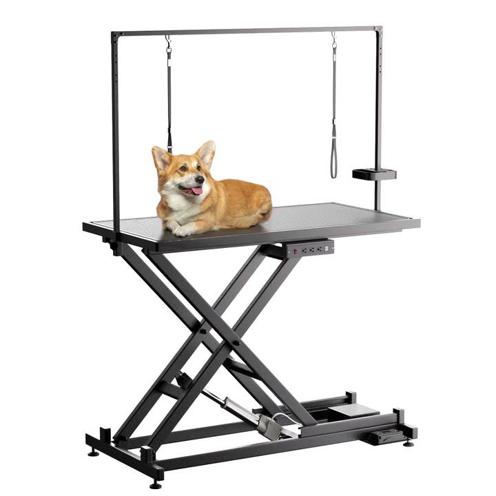 50-inch electric professional dog grooming table with adjustable height