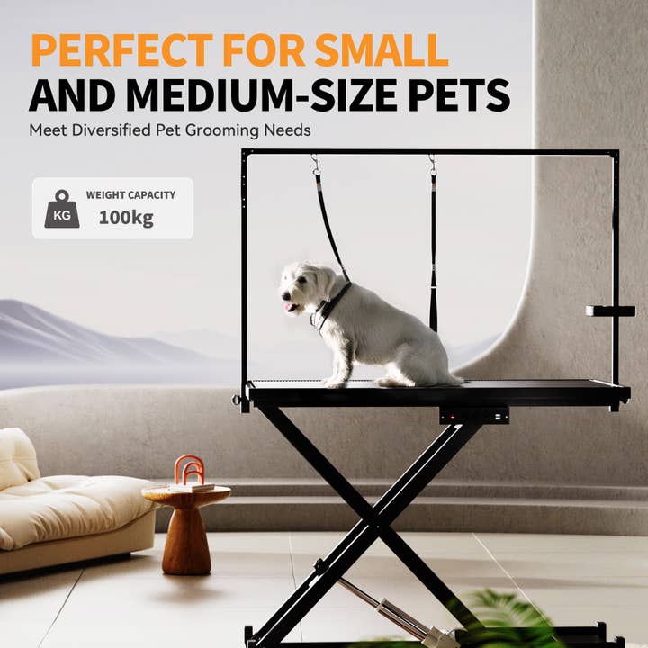 50-inch electric professional dog grooming table side view